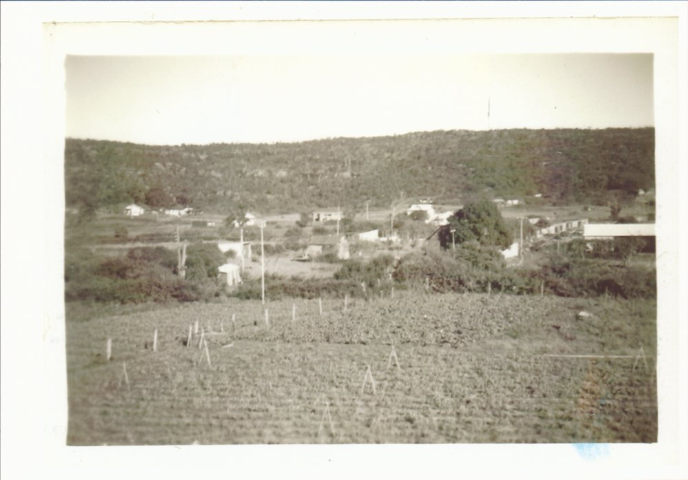 View from Cross Street Brookvale towards Old Pittwater Road