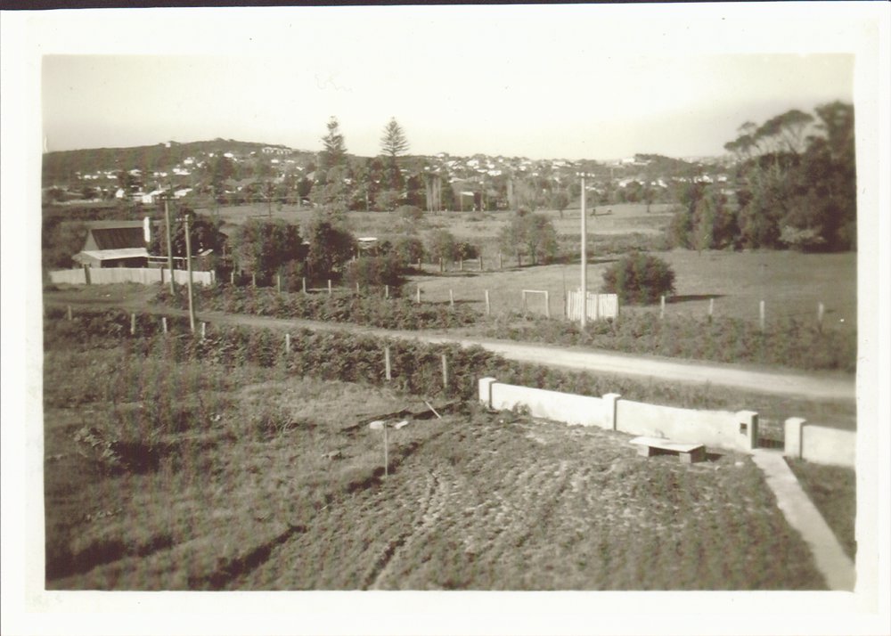 Raicevich Farm Cross Street Brookvale