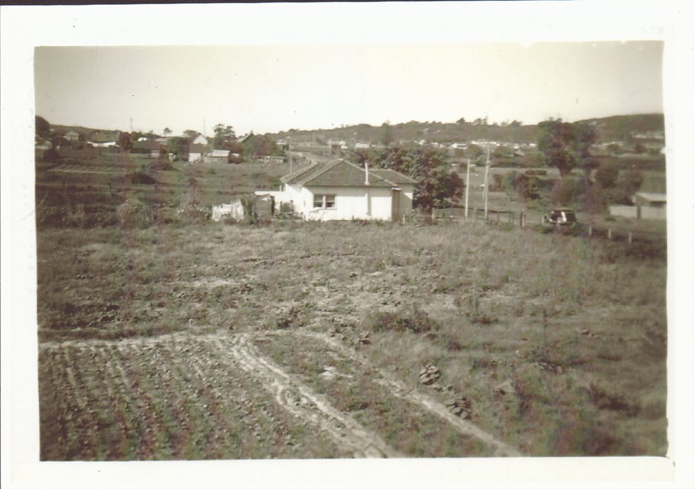 Raicevich Farm, Cross Street, Brookvale