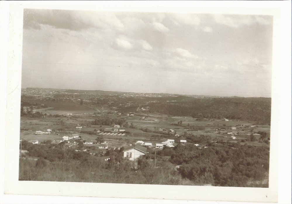 View from Beacon Hill Looking Across Brookvale and the Raicevich Farm