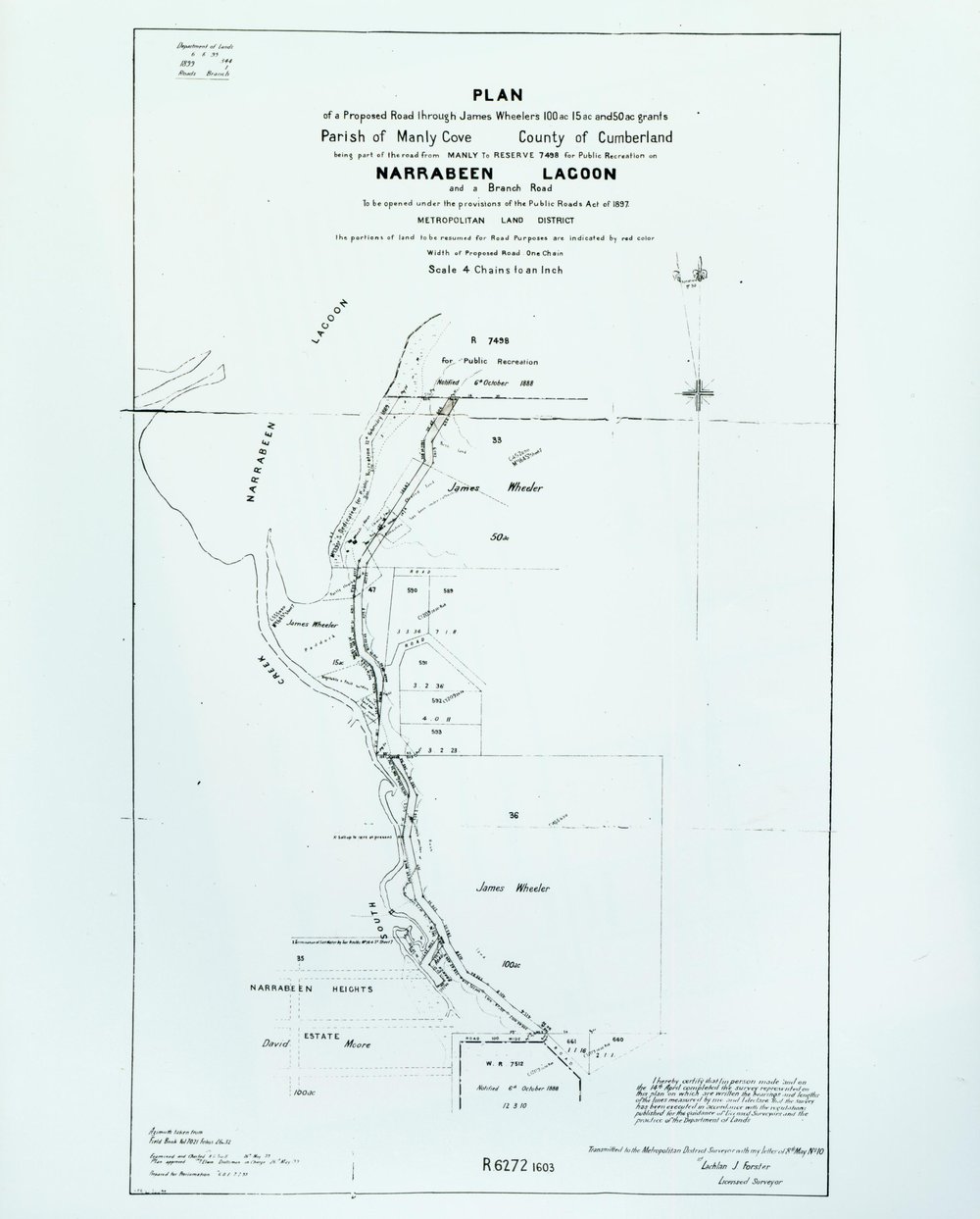 Map of proposed road through James Wheeler's 100 acres at Narrabeen.