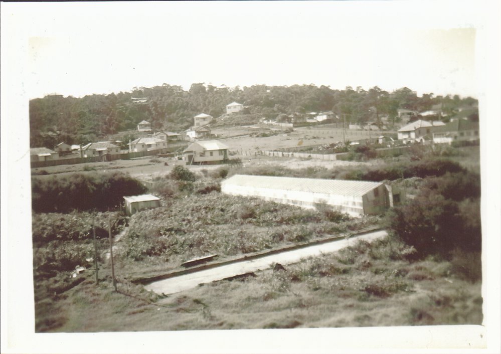 Raicevich Farm, Brookvale