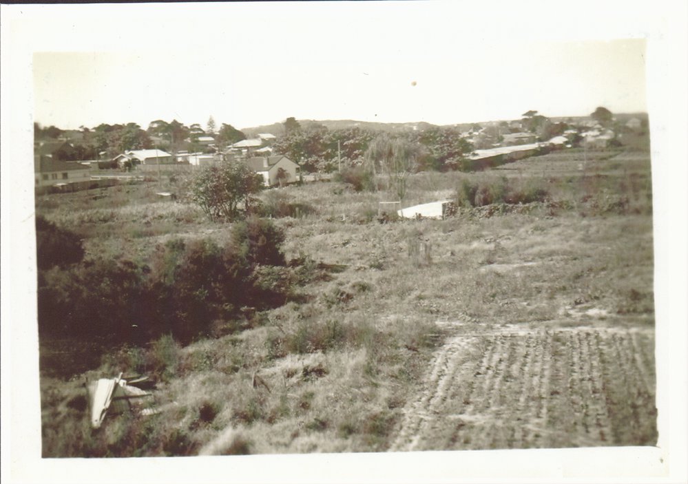 Raicevich Farm, Cross Street, Brookvale