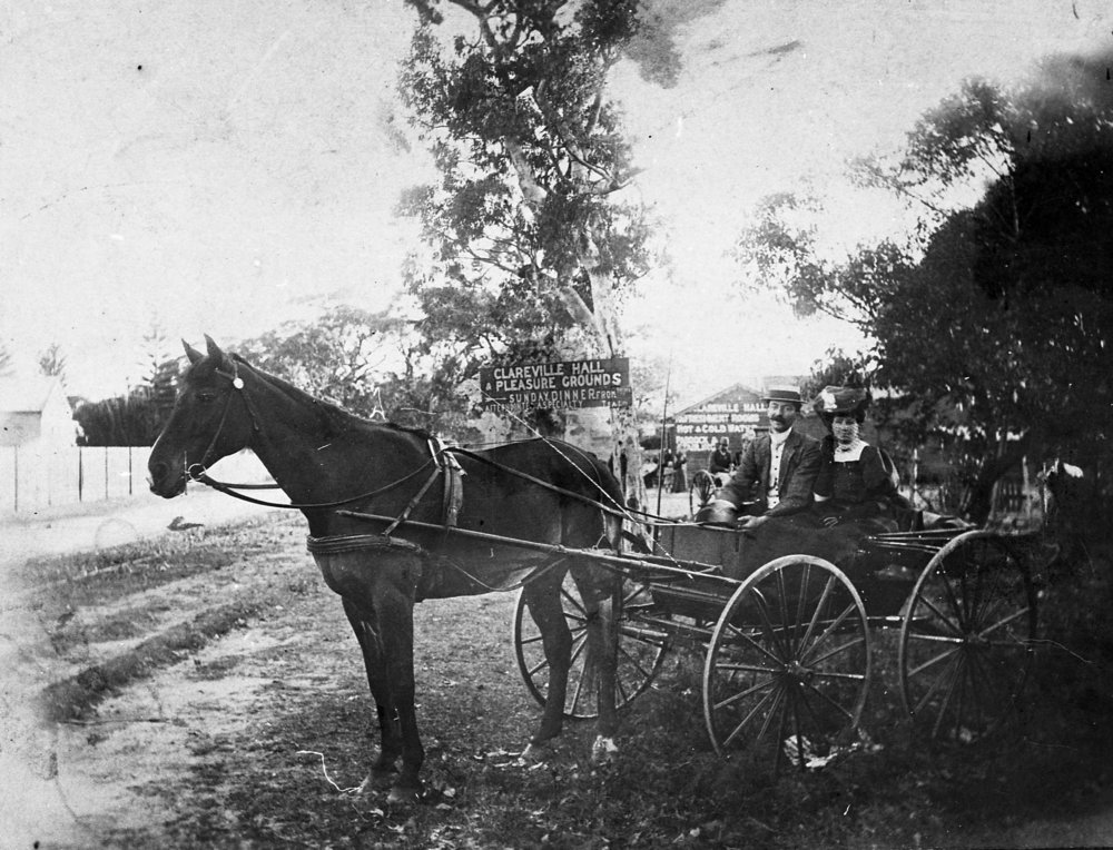 Horses and carriage, Clareville