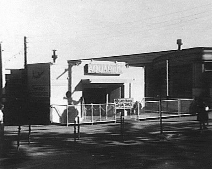 Shark aquarium between Manly Fun Pier and Manly Wharf, 1940