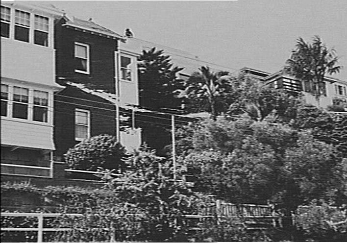 Upperside of Lauderdale Avenue, Fairlight