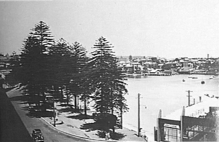 Manly Cove with Norfolk Island pines on East Esplanade