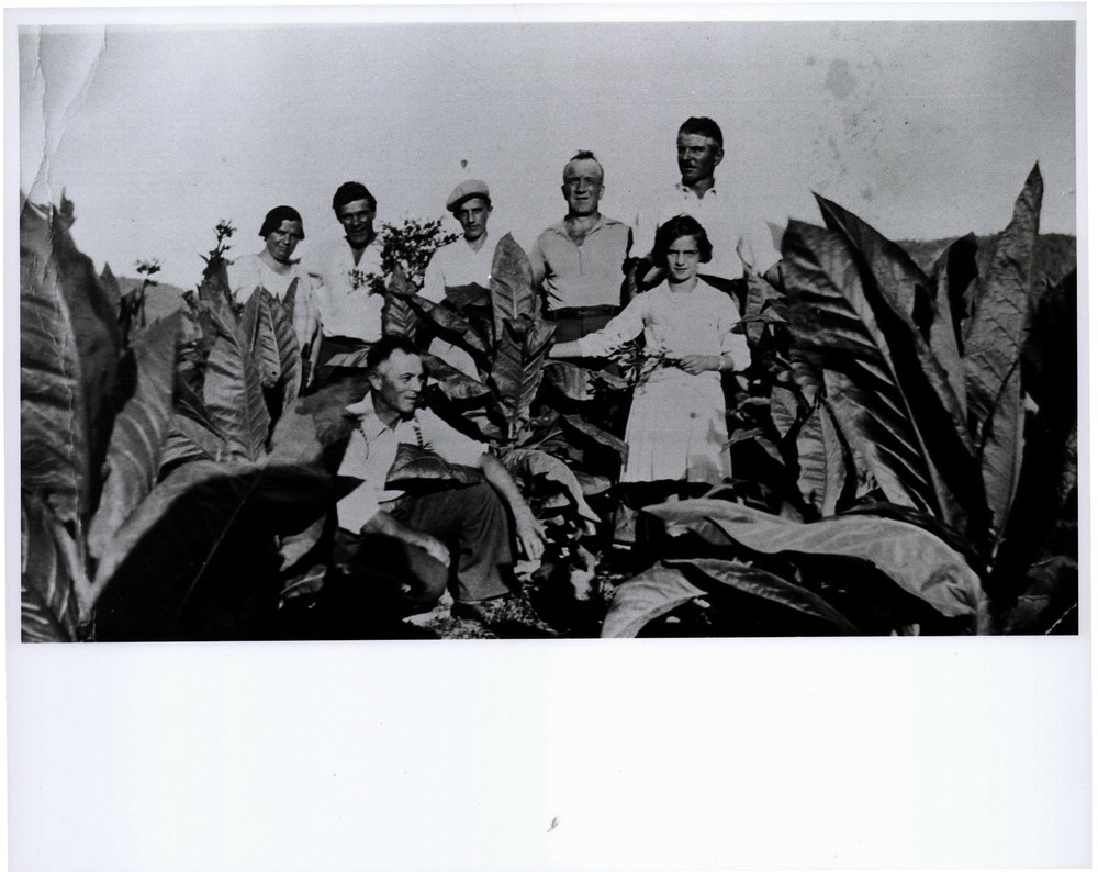 Cunico family farming, Dee Why