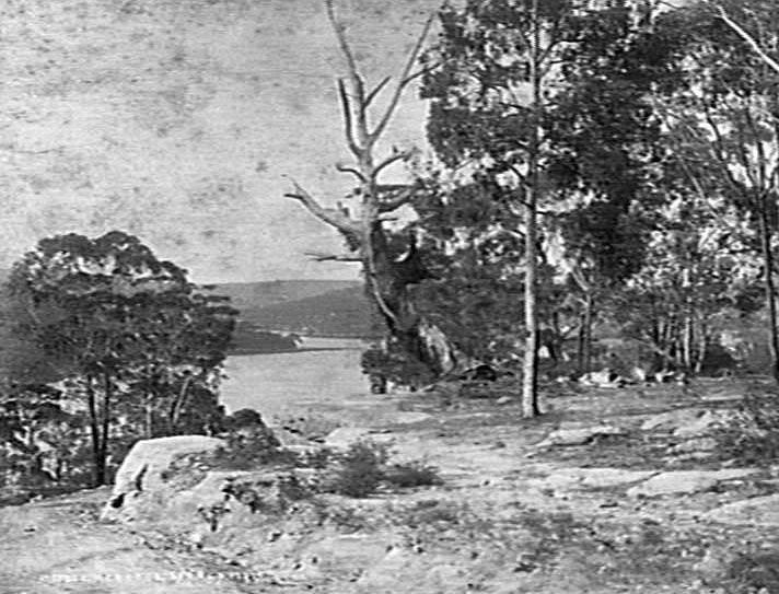 Bushland above The Spit, showing Middle Harbour and Beauty Piont