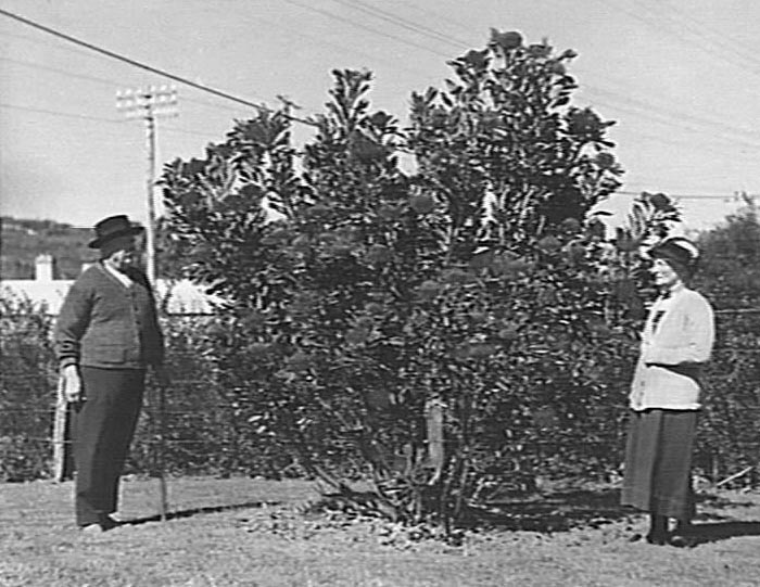 George Wheeler and an unidentified lady at "Delmar", Dee Why