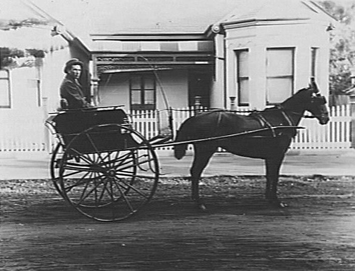 Doctor driving horse-drawn carriage, Manly