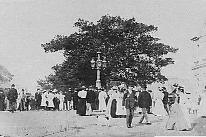 Proclamation lamp after removal to the front of Manly Town Hall