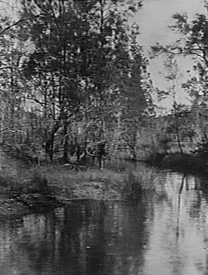 Upper reaches of Middle Creek, Narrabeen