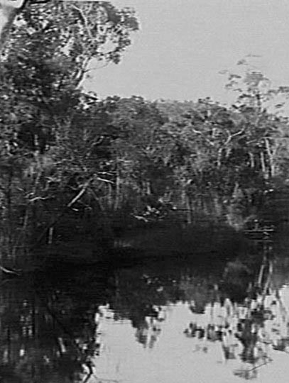 Deep Creek, Narrabeen