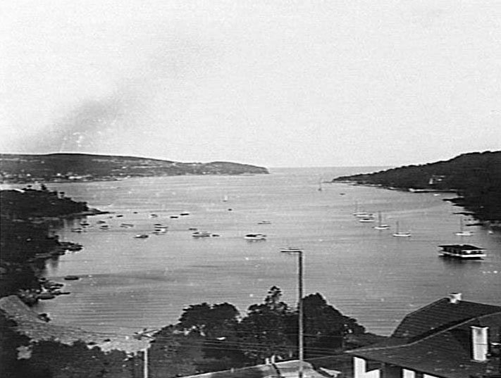 North Harbour, Manly