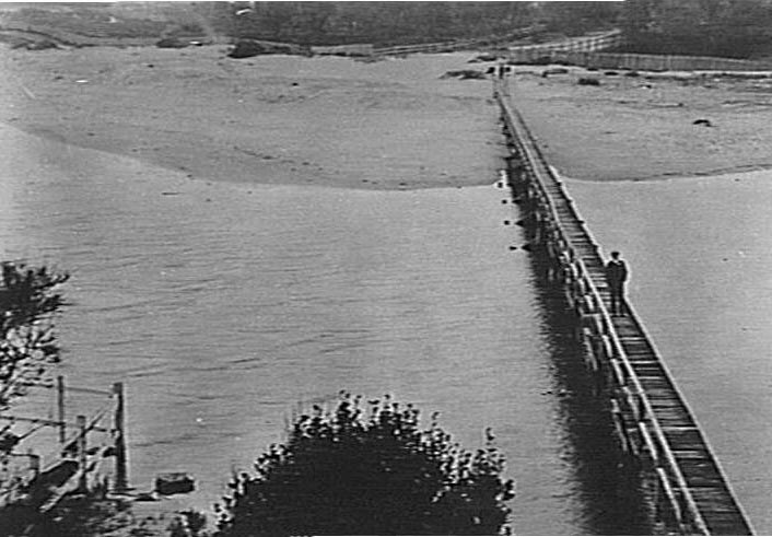 Manly Lagoon and footbridge