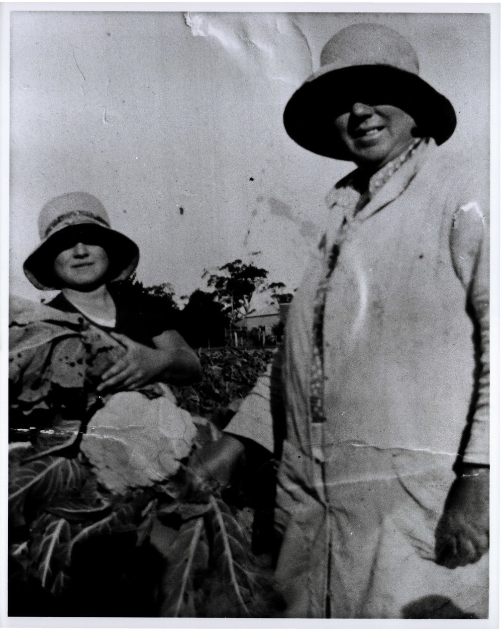 Germana Aloisi with her daughter Bertha (with cauliflower) at their market garden, Dee Why