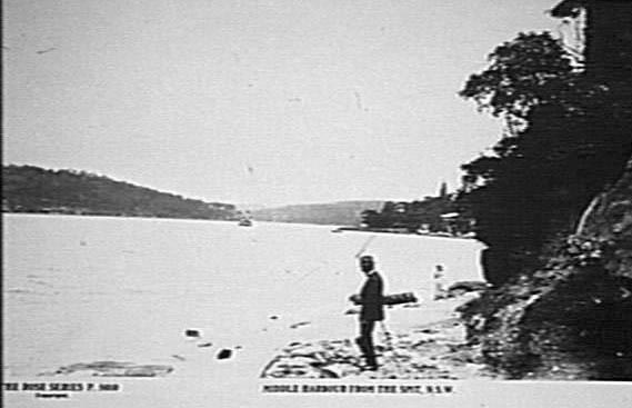 Middle Harbour, Seaforth