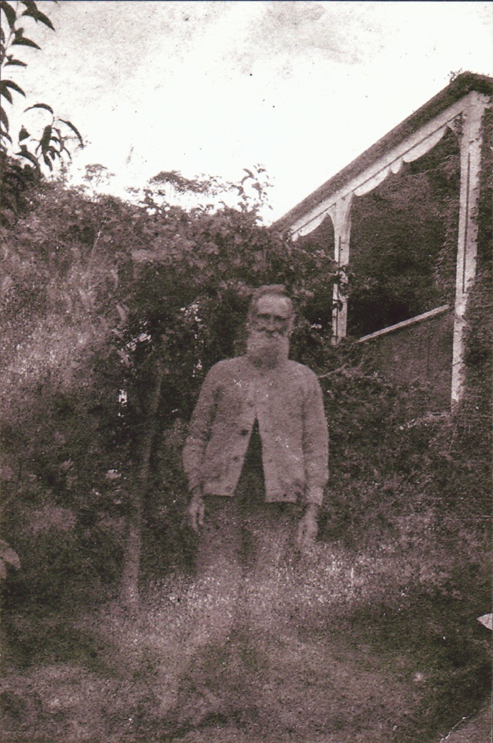 James Davidson, Collaroy