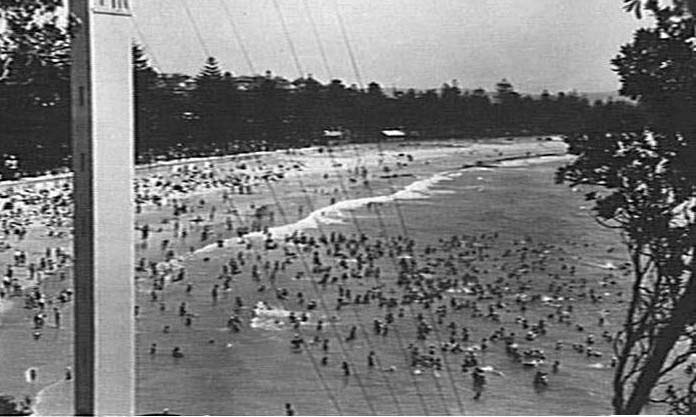 Manly Beach, Shark Tower