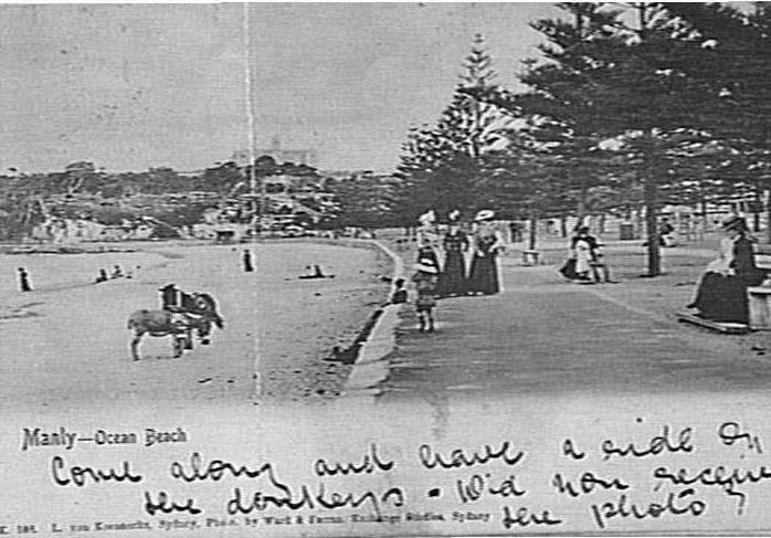 Manly Beach and Promenade