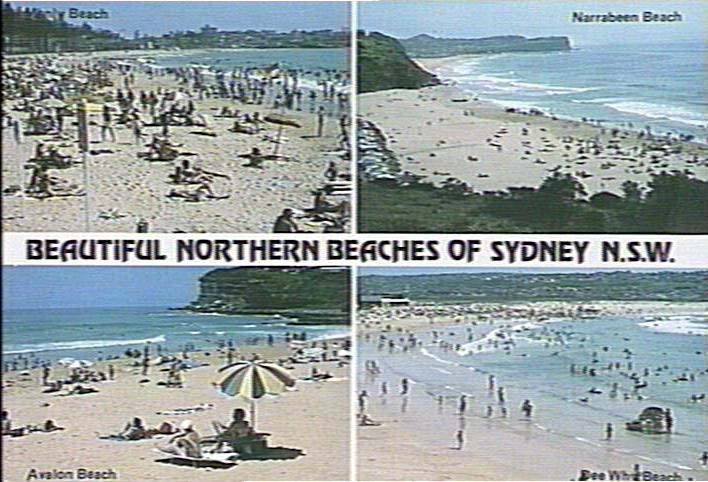 Views of Manly, Narrabeen, Dee Why and Avalon beaches