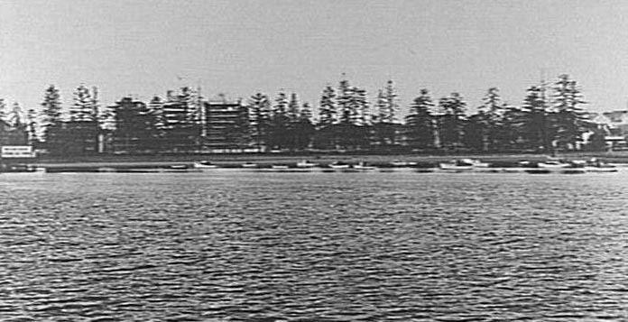 Manly Cove, shows pines, fun pier and small boats, 1972