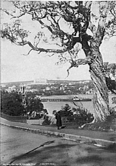 View across West Esplanade to Manly Wharf and Eastern Hill