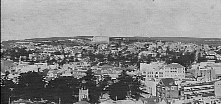 View over Manly to St Patrick's
