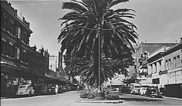 The Corso