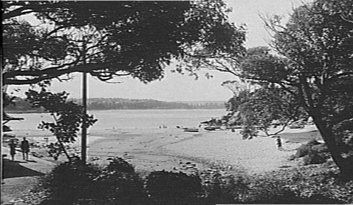 Shelly Beach
