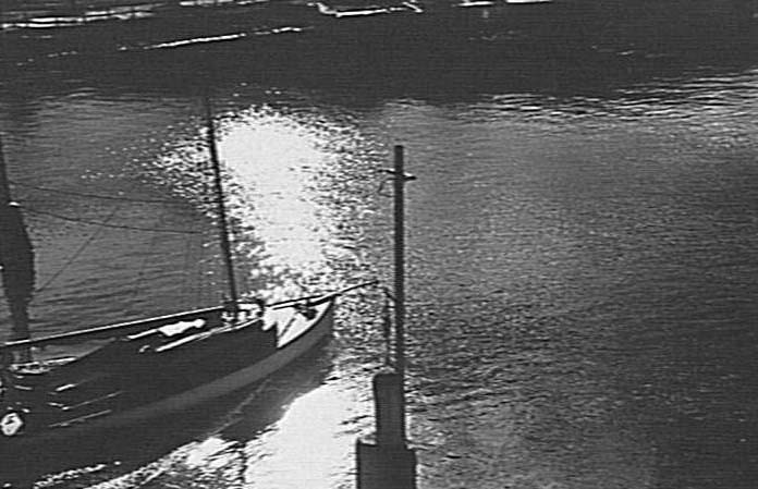 Yacht on Middle Harbour, Spit