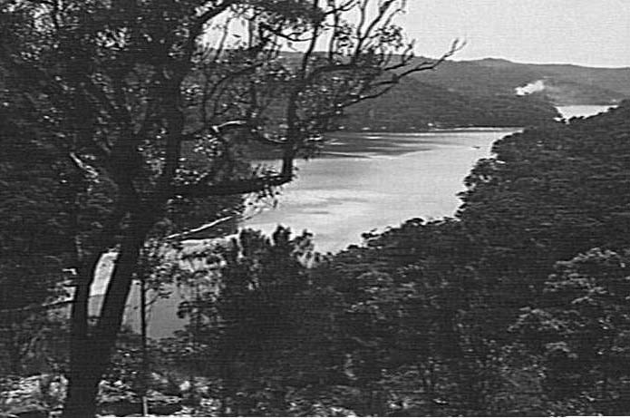 Middle Harbour