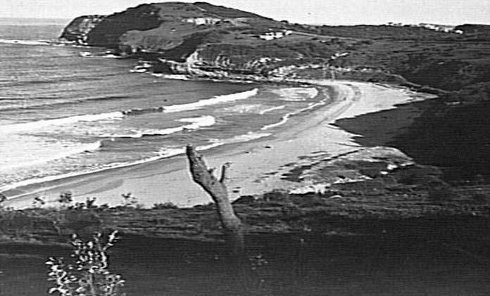 Unidentified beach possibly Warriewood Beach