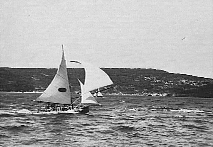 Yachts on Middle Harbour
