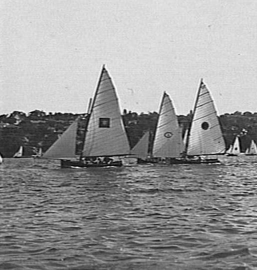 Yachts on Middle Harbour