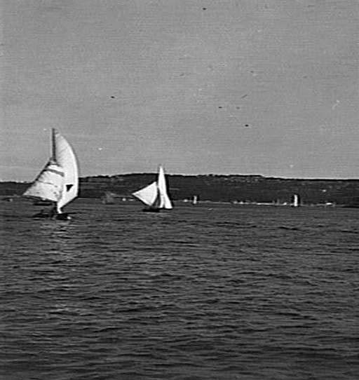 Yachts on Middle Harbour