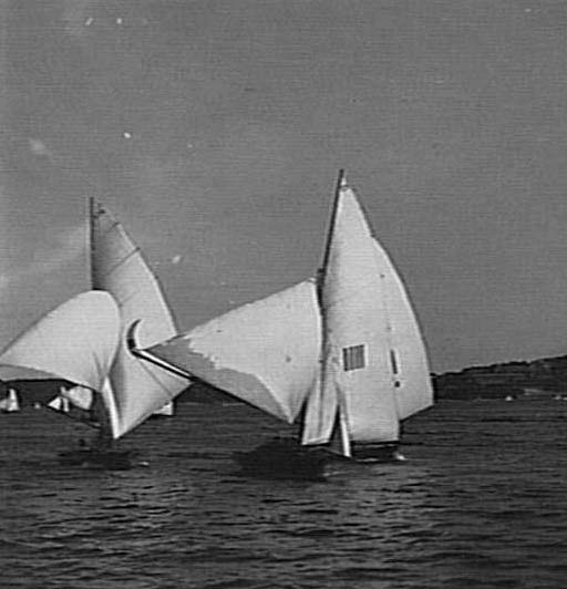 Yachts on Middle Harbour