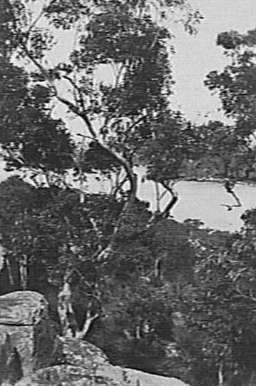 Middle Harbour