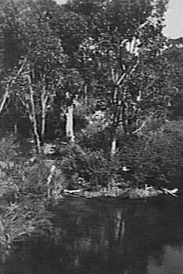 Middle Harbour
