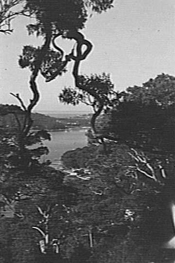 Middle Harbour