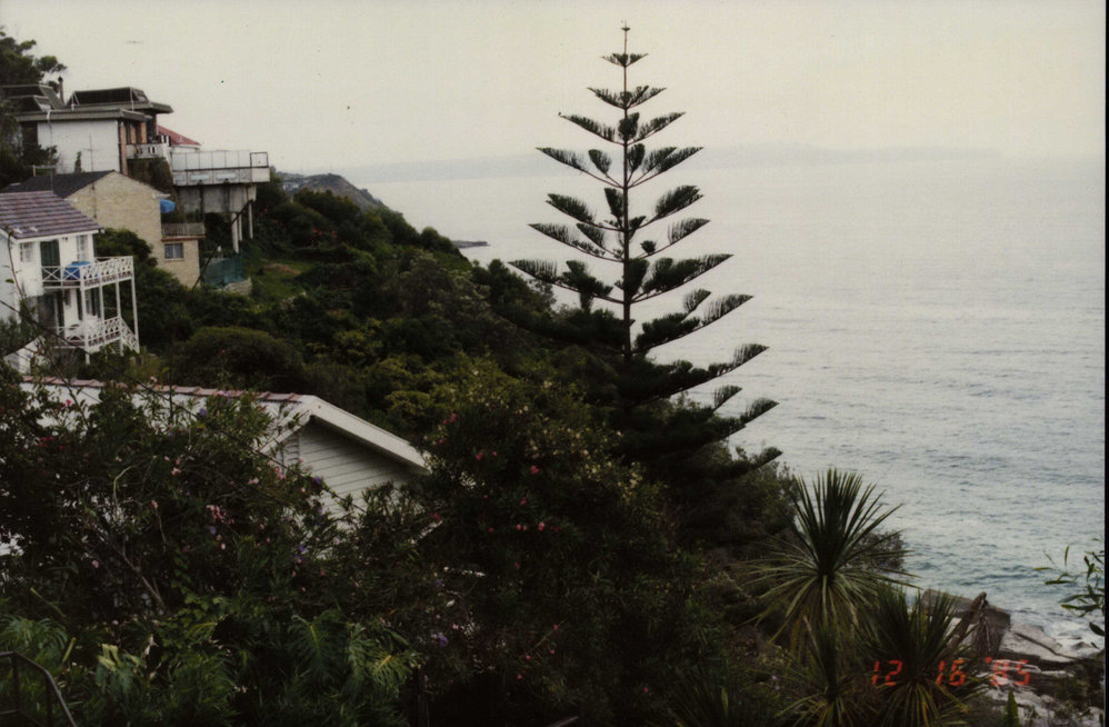 Whale Beach, 1985