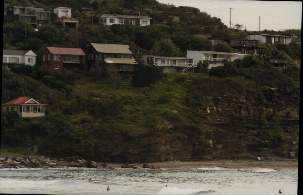 Whale Beach showing houses in Whale Beach Road