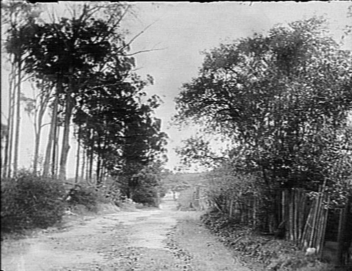 Dirt track near Corrie Road, North Manly, and wood paling fences