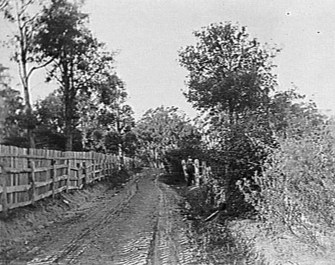 Dirt track and fences near Corrie Road, North Manly
