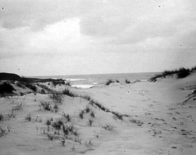 Sand dunes at Freshwater Beach