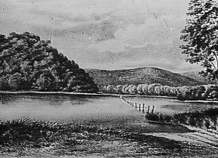 Drawing of Narrabeen Lagoon