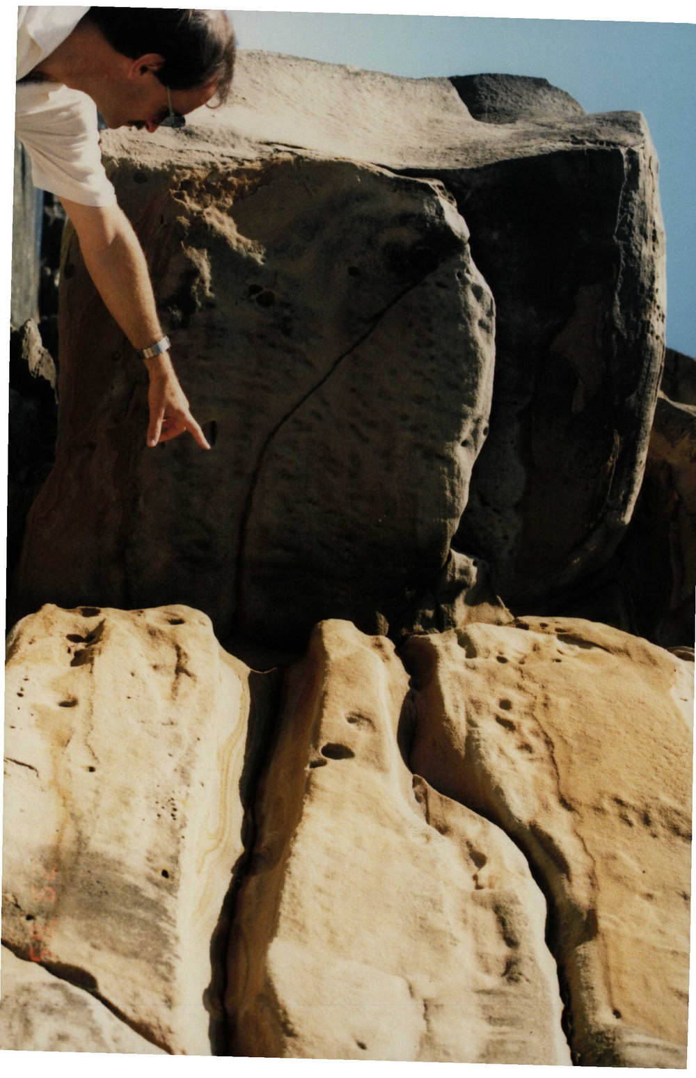 Whale Beach cliffs