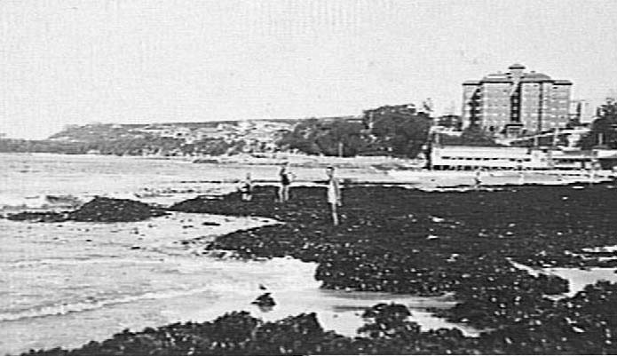 Seaweed on Manly Beach