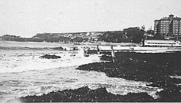 Seaweed on Manly Beach